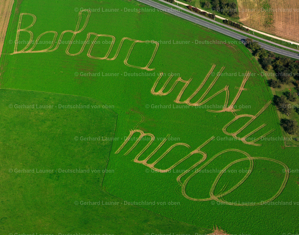 2499122 | Heiratsantrag bei Waiblingen