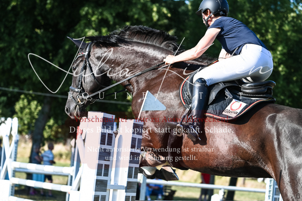 DSC_3080 | Pferde- und Turnierfotografie in Westsachsen. Pferdeportraits, Auftragszeichnungen und intuitive Kunst.