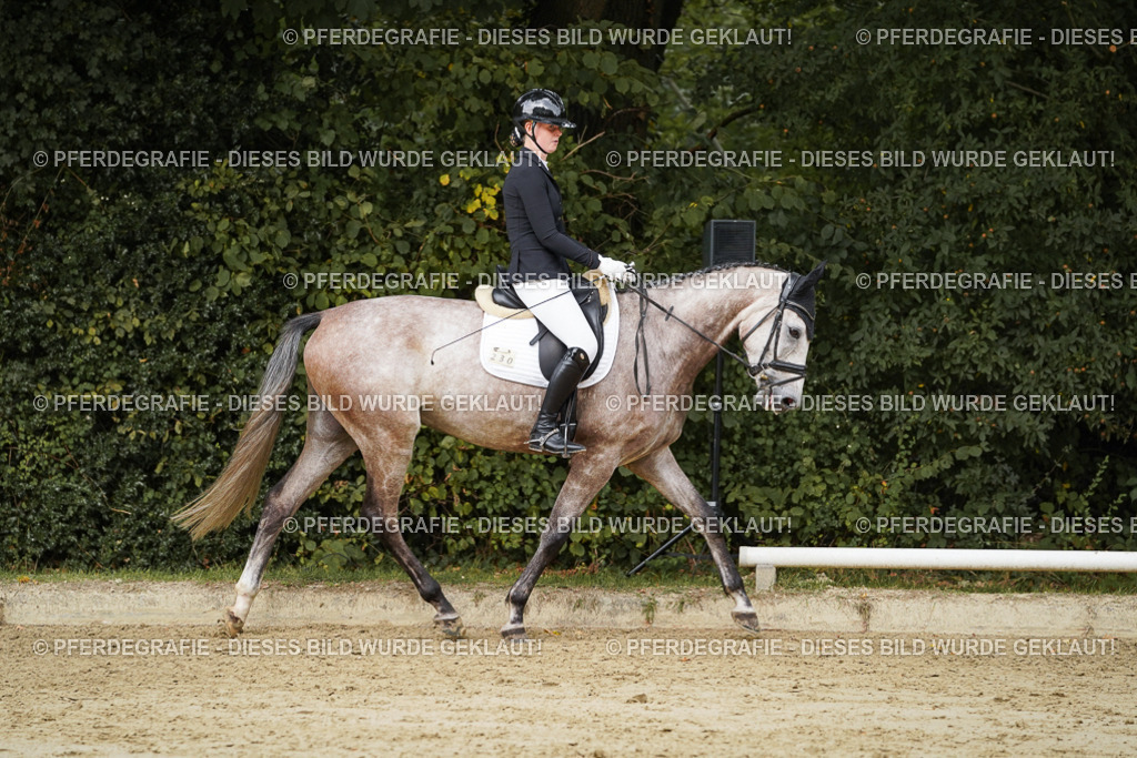 DSC00695 | Pferdegrafie