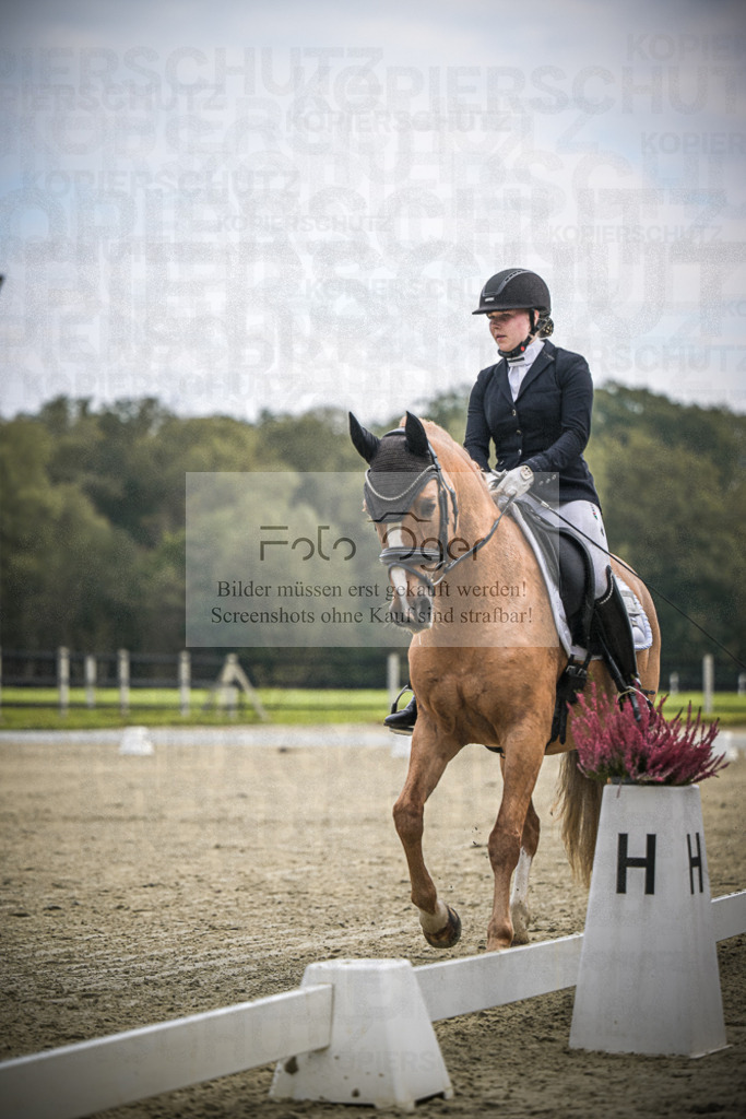 DOS_B543 | Entdecke hochwertige Reitturnierfotos von Foto Oger. Professionell, emotional und authentisch – jetzt Lieblingsmomente im Shop bestellen.Deutschlandweite Turnierfotografie. - Realisiert mit Pictrs.com