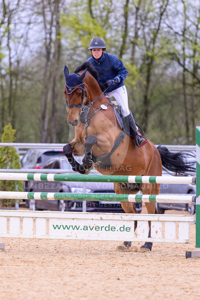 12042026-Mammendorf-Prfg42-0045 | Fokus Hufschlag Fotografie - Realisiert mit Pictrs.com