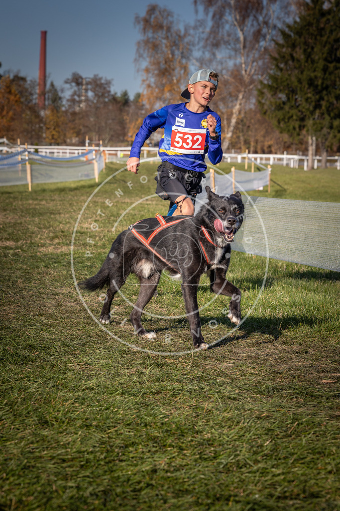 CaniXpix_0L8A7365 | Hundefotografie, Tierfotograf, Pfotenfotografie, Fotoshooting Hund, Hunde Portrait, Hundesport, Hundeportraits, Heideshooting, Hunde, Sportfotograf, Hundefotograf, Turnierhundsport, THS,  - Realisiert mit Pictrs.com