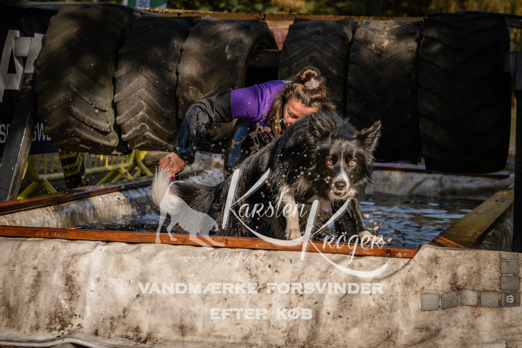 1156_ZZ93840 | kk-dogfotos