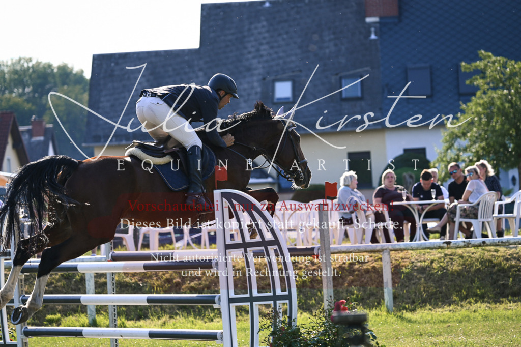 DSC_1625 | Pferde- und Turnierfotografie in Westsachsen. Pferdeportraits, Auftragszeichnungen und intuitive Kunst.