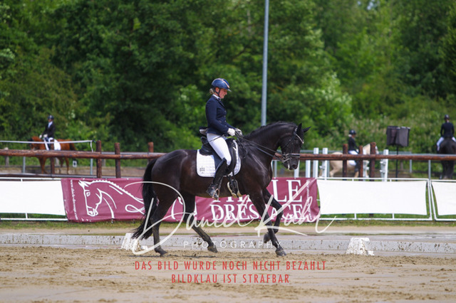 DKP40609 | Turniersportfotografie; Pferdefotografie; Dressurfotografie