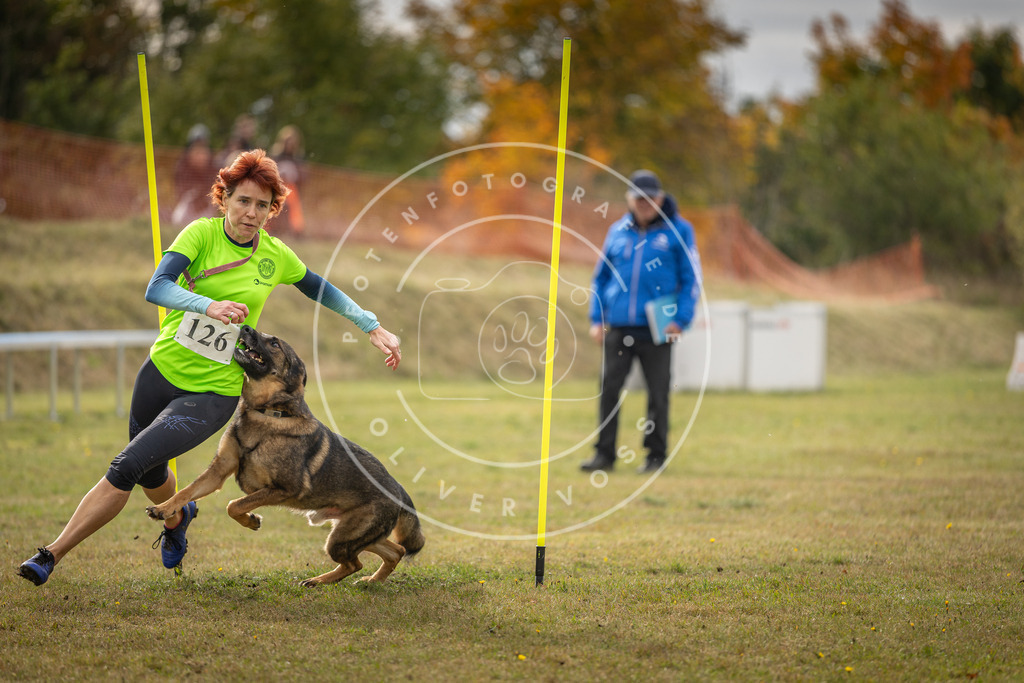 Pfotenfotografie_DV3A7005 | Hundefotografie, Tierfotograf, Pfotenfotografie, Fotoshooting Hund, Hunde Portrait, Hundesport, Hundeportraits, Heideshooting, Hunde, Sportfotograf, Hundefotograf, Turnierhundsport, THS,  - Realisiert mit Pictrs.com