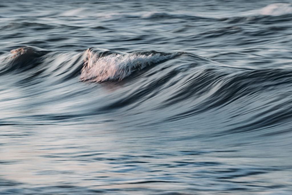 LDF_5737 | Du suchst natürliche und atmosphärische Prints oder Leinwanddrucke? In diesem Shop gibt es alles, nur kein Mainstream. - Realisiert mit Pictrs.com