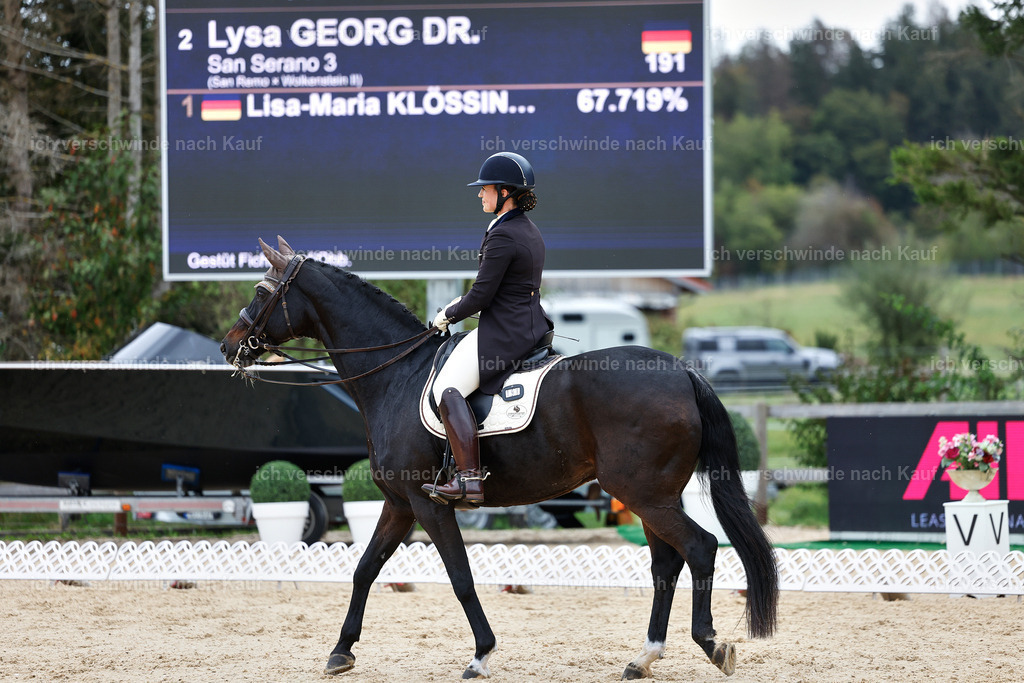 11-191-Dressur S___-StoibPH-910 | working equitationturnier fotograf videograf stoibphotography marixx film working equitation deutschland reitsport turnierfotografie eventfotografie equestrian events