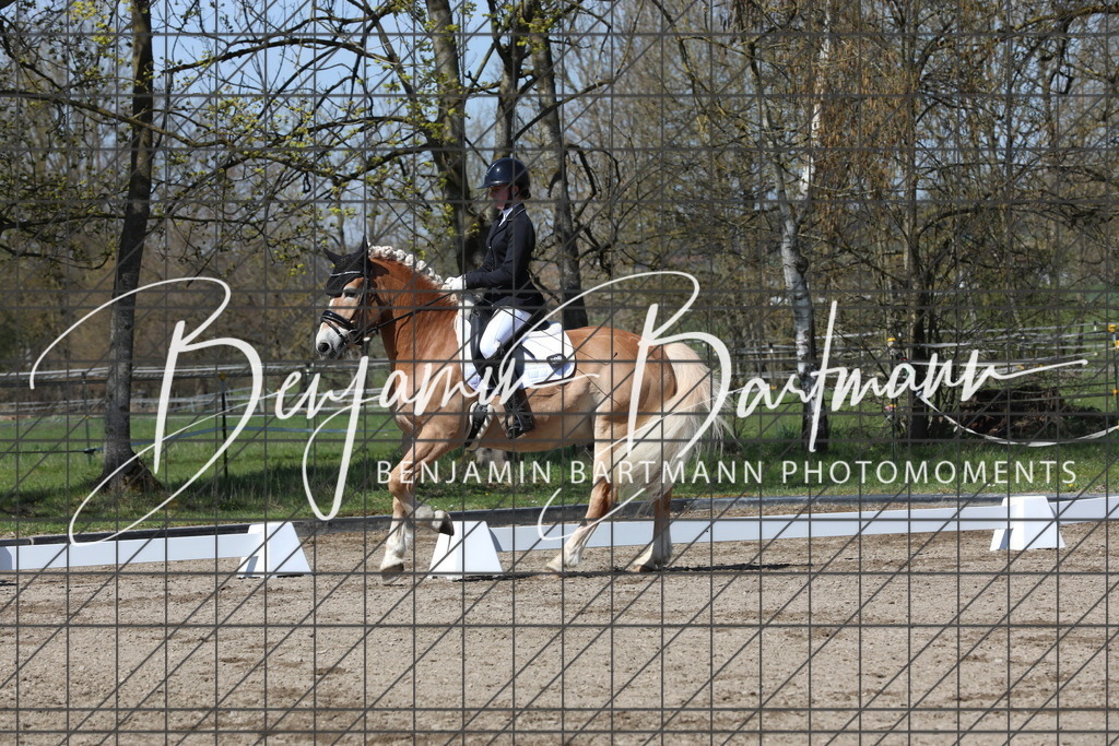 AZ2A4728 | Benjamin Bartmann Photomoments