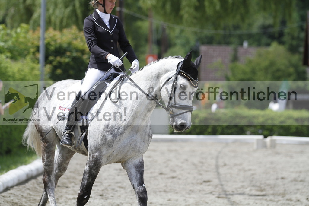 _MG_9006 | equestrian-live-com
