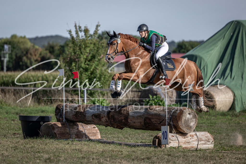 20250907-_3LI3611 | Tierfotografie Pferde, Hunde, Katzen, Haustiere.
Turnierfotografie Reitturniere, Reiten, Springreiten, Dressur in Hanau, dem Main-Kinzig-Kreis und dem Rhein-Main- Gebiet um Frankfurt