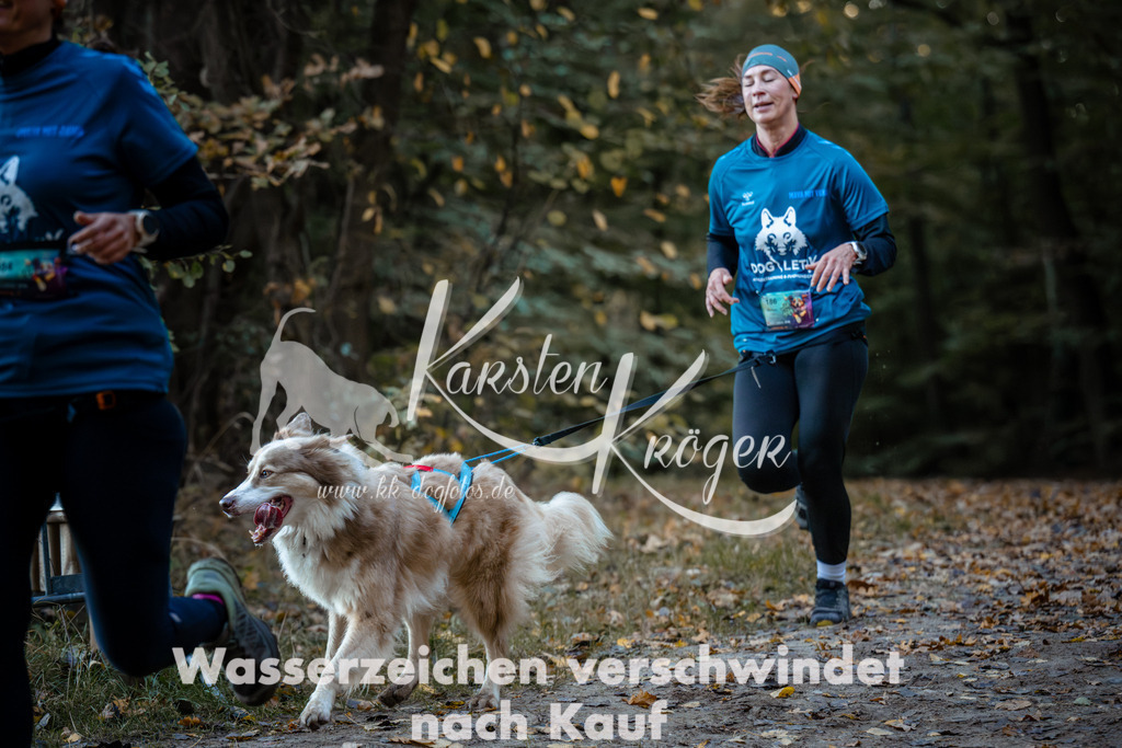 0851_ZZ96287 | kk-dogfotos