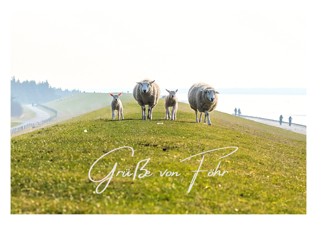 Motiv 52 | Eilun-Art-Fotografie Levke Martens, ihre Fotografin für Immobilien- und Landschaftsfotografie auf Föhr, Föhrer Motive als Poster, Leinwand, hinter Acrylglas oder stelle dir deinen eigenen Monatskalender zusammen, mit nur einem Klick