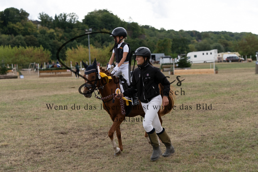 A7V01379 | Pferdefotograf