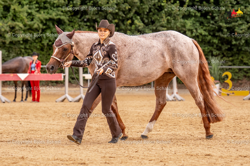 LMS06698 | BS-foto