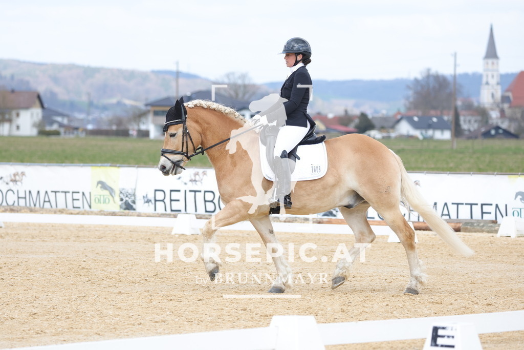 0P6A6935 | Willkommen bei Brunnmayr - Design & Fotografie – Ihrem Spezialisten für Reitturniere und Pferdeveranstaltungen in Oberösterreich, Salzburg und Bayern! Seit über 17 Jahren sind wir leidenschaftlich dabei.