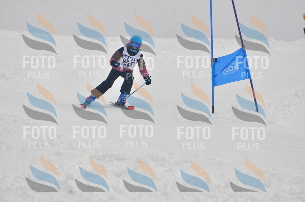 A5465 | holidayphoto