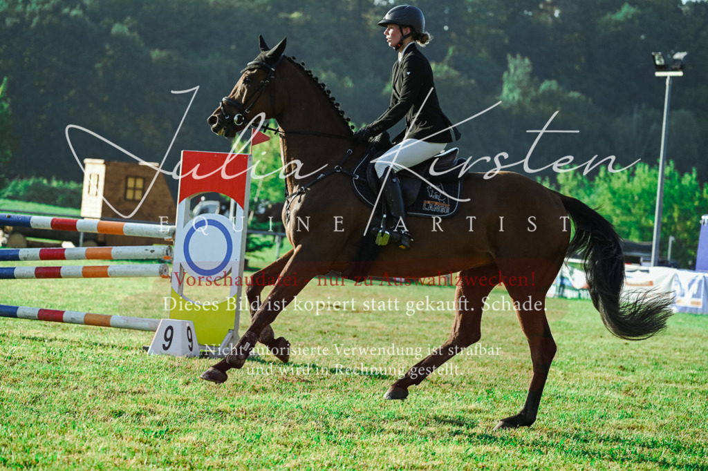 DSC_4307 | Pferde- und Turnierfotografie in Westsachsen. Pferdeportraits, Auftragszeichnungen und intuitive Kunst.