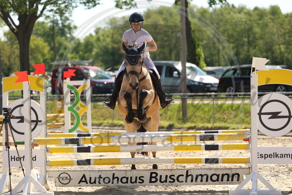 994A5692 | sabrinanicolaifotografie - Realisiert mit Pictrs.com