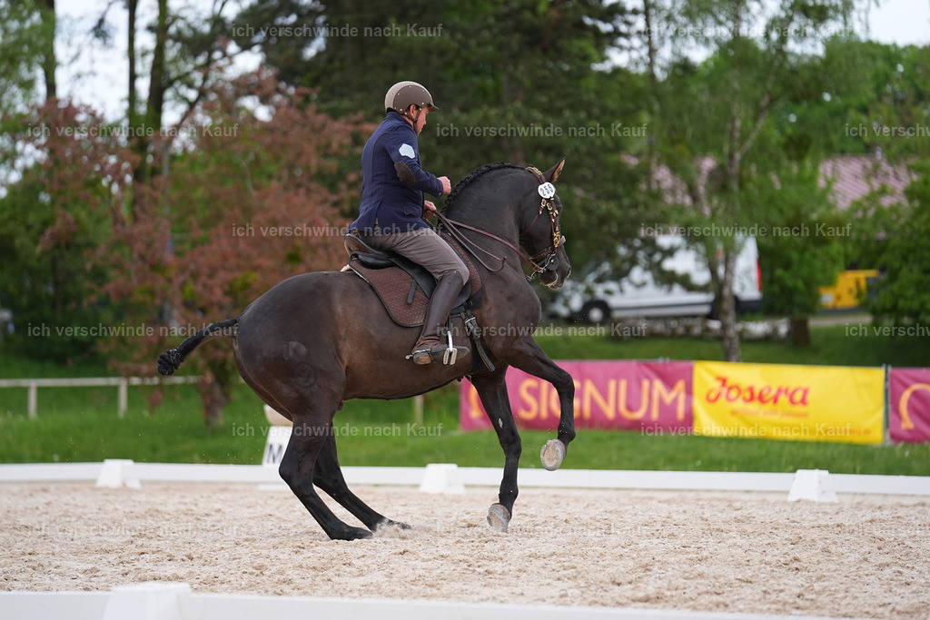 PI26_DR_255_StoibphotographySIN09826 2.jpg | working equitationturnier fotograf videograf stoibphotography marixx film working equitation deutschland reitsport turnierfotografie eventfotografie equestrian events