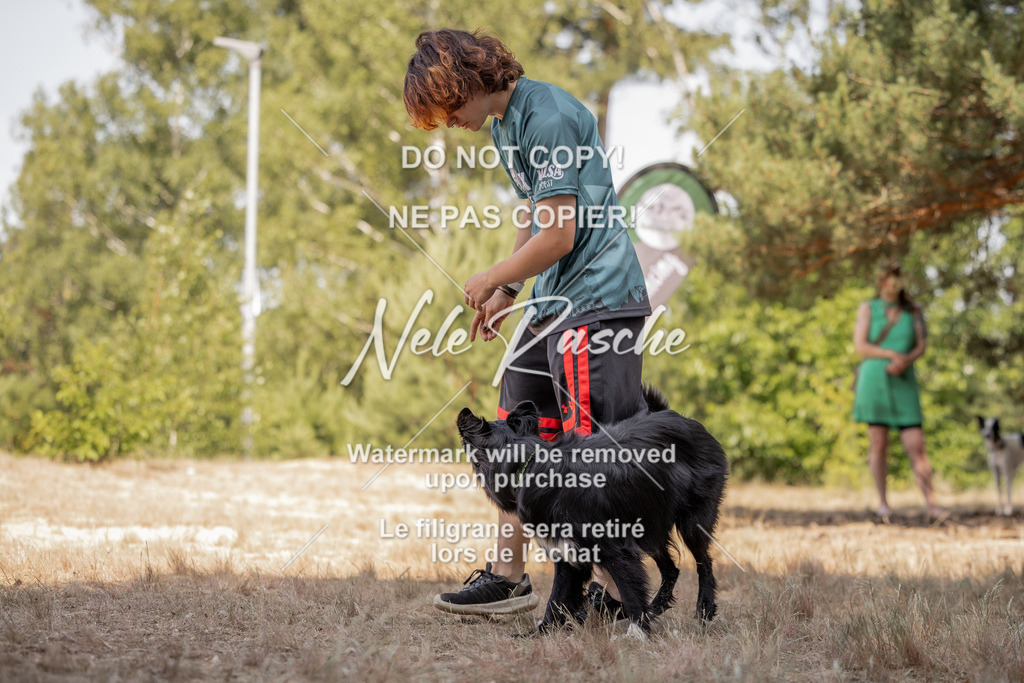 nelerasche_soDD2_318 | nelerasche