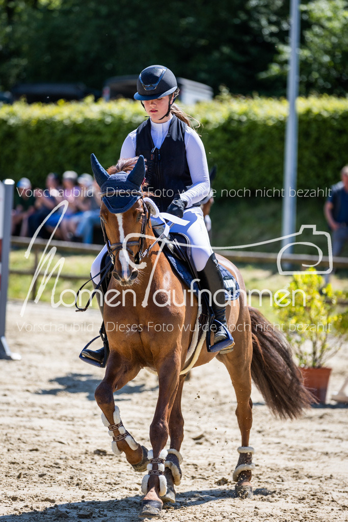 Donop24-Stil-L-092 | MomenTaufnahmen Pferdesportfotos