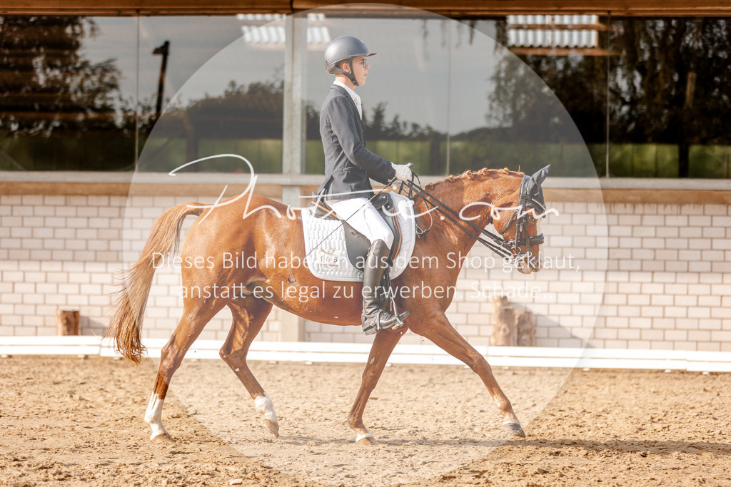 3I6A2955 | Stimmungsvolle Portraits und Reitsportfotografie im Ruhrgebiet und im Münsterland.

Pferdefotografie, Hundefotografie, Tierfotografie, Reportagen, Portraits von Tier und Mensch, Turnierfotografie in Bochum, Recklinghausen, Marl, Haltern am See, Dülmen.. - Realisiert mit Pictrs.com