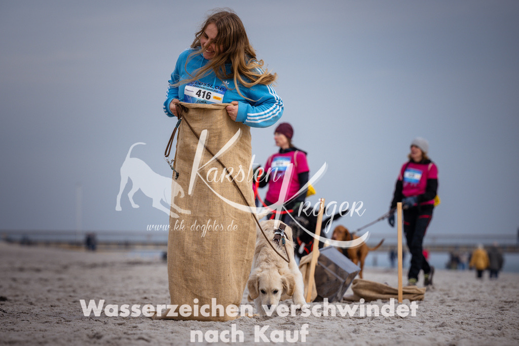 1249_ZZ95918 | kk-dogfotos