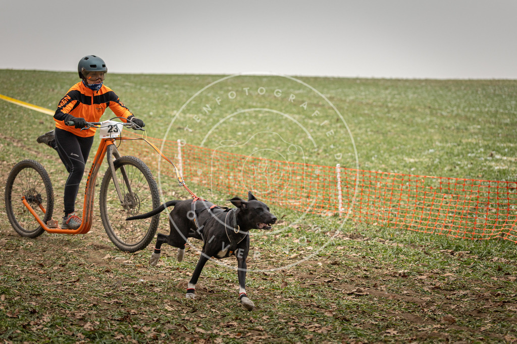 Pfotenfotografie_DV3A3764 | Hundefotografie, Tierfotograf, Pfotenfotografie, Fotoshooting Hund, Hunde Portrait, Hundesport, Hundeportraits, Heideshooting, Hunde, Sportfotograf, Hundefotograf, Turnierhundsport, THS,  - Realisiert mit Pictrs.com