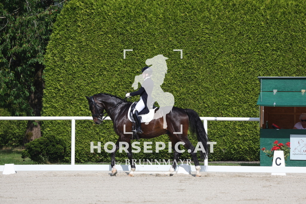 0P6A6727 | Willkommen bei Brunnmayr - Design & Fotografie – Ihrem Spezialisten für Reitturniere und Pferdeveranstaltungen in Oberösterreich, Salzburg und Bayern! Seit über 17 Jahren sind wir leidenschaftlich dabei.