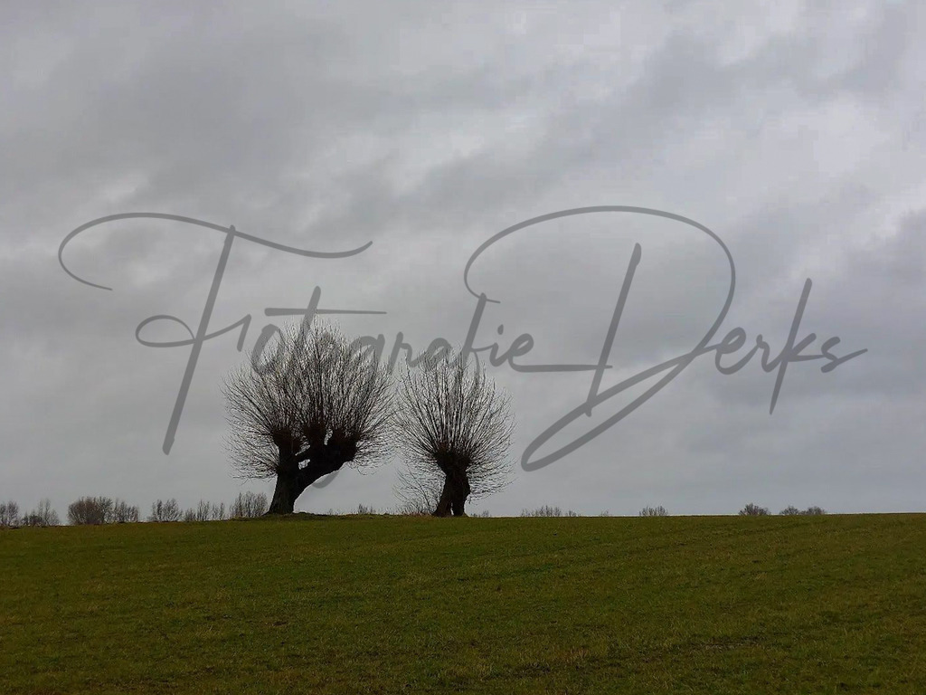 Bilder Homepage-13 | fotografie-derks - Realisiert mit Pictrs.com