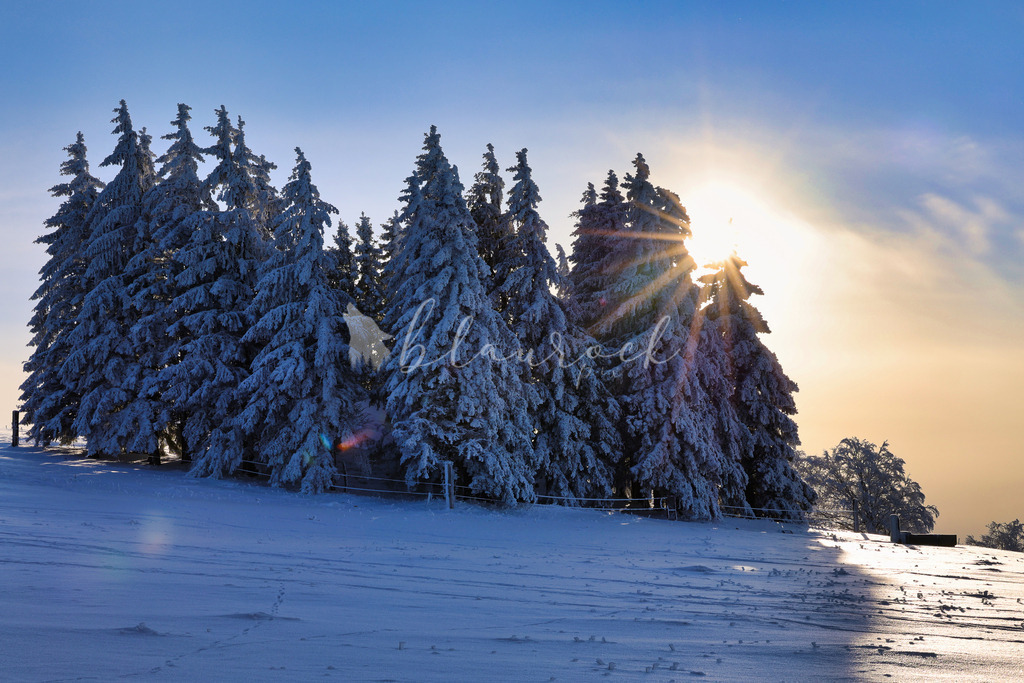 Natur_00016 | Sportbilder, Sportfotograf, Hochzeits- und Eventfotografin, Flugshows, Portraits und Tiershooting, Aviation, Downhill, Nationalleague, Swissleague, International