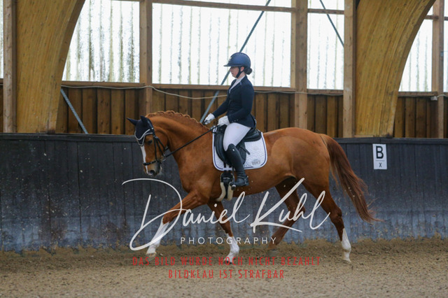 IMG_0047 | Turniersportfotografie; Pferdefotografie; Dressurfotografie