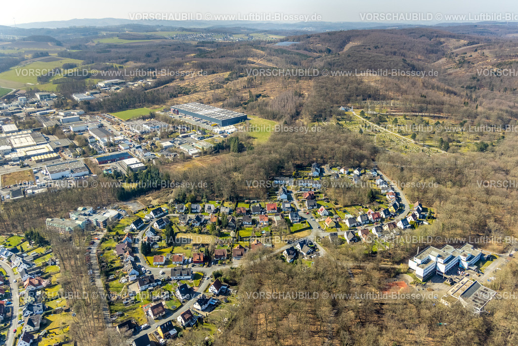 Arnsberg220301925Neheim | Luftbild, Wohnsiedlung Rumbecker Holz und Klostereichen sowei Waldfriedhof und Gewerbegebiet Weberstraße in Hüsten, Arnsberg, Sauerland, Nordrhein-Westfalen, Deutschland