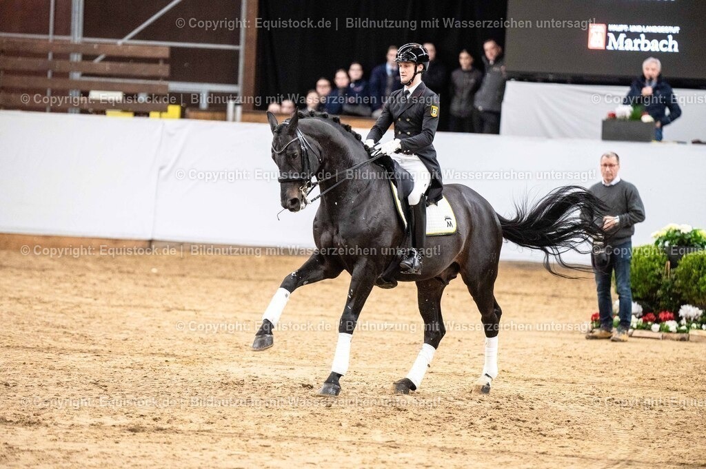 20260307_Hengstvorstellung-Marbach_0491 | equistock