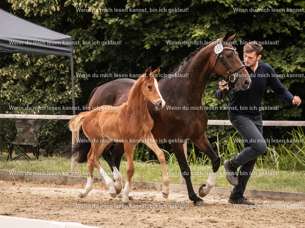 A10I5499 | photographylinaismer - Realisiert mit Pictrs.com