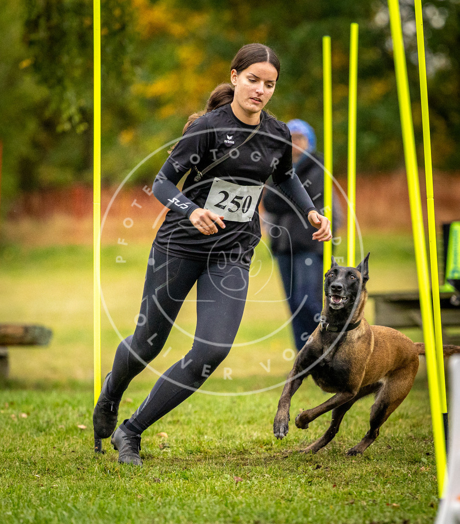 Pfotenfotografie_DV3A0443 | Hundefotografie, Tierfotograf, Pfotenfotografie, Fotoshooting Hund, Hunde Portrait, Hundesport, Hundeportraits, Heideshooting, Hunde, Sportfotograf, Hundefotograf, Turnierhundsport, THS,  - Realisiert mit Pictrs.com