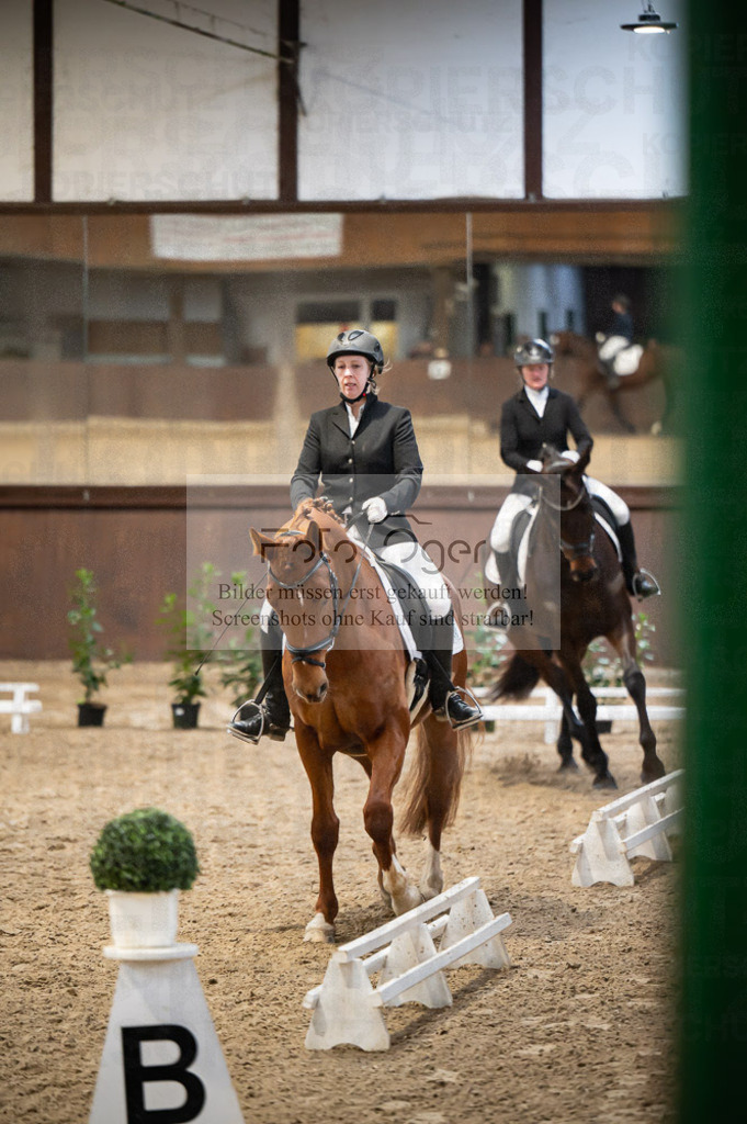 Hallenreittunier Voxtrup 2023 | Entdecke hochwertige Reitturnierfotos von Foto Oger. Professionell, emotional und authentisch – jetzt Lieblingsmomente im Shop bestellen.Deutschlandweite Turnierfotografie. - Realisiert mit Pictrs.com