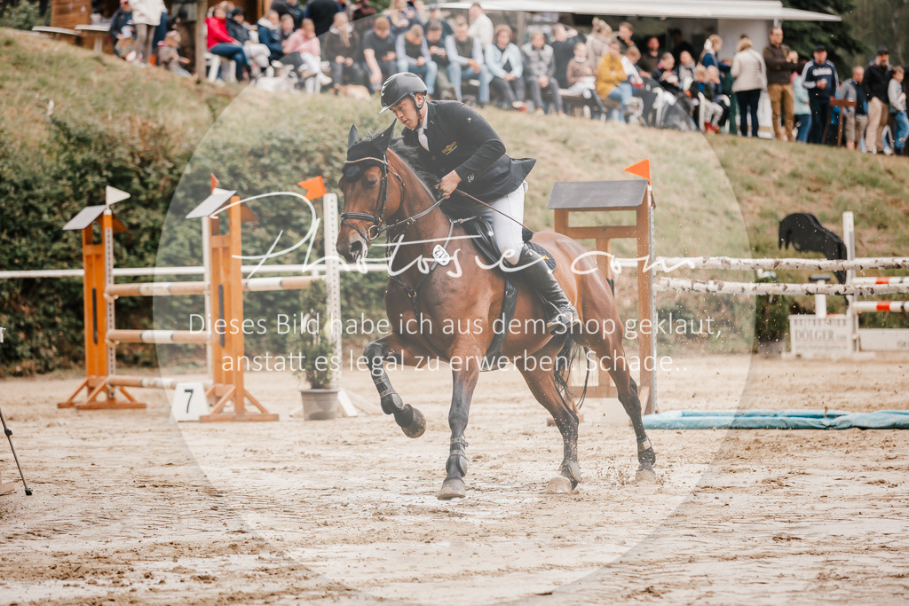 3I6A2158 | Stimmungsvolle Portraits und Reitsportfotografie im Ruhrgebiet und im Münsterland.

Pferdefotografie, Hundefotografie, Tierfotografie, Reportagen, Portraits von Tier und Mensch, Turnierfotografie in Bochum, Recklinghausen, Marl, Haltern am See, Dülmen.. - Realisiert mit Pictrs.com