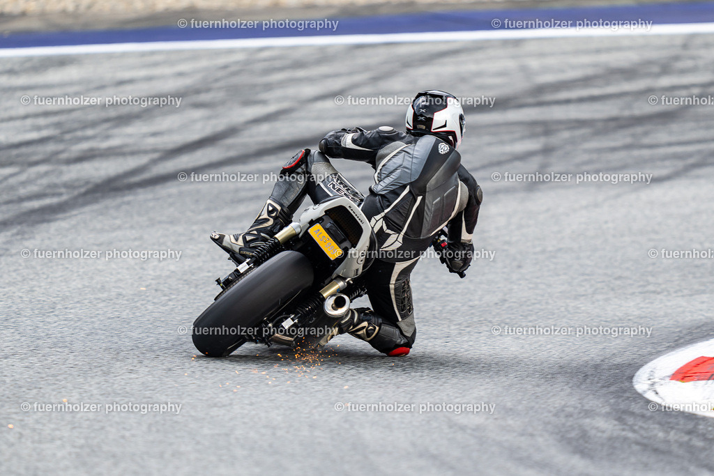 fuernholzer_220827-RM-963 | © Reinhard Mayr (fuernholzer photography)