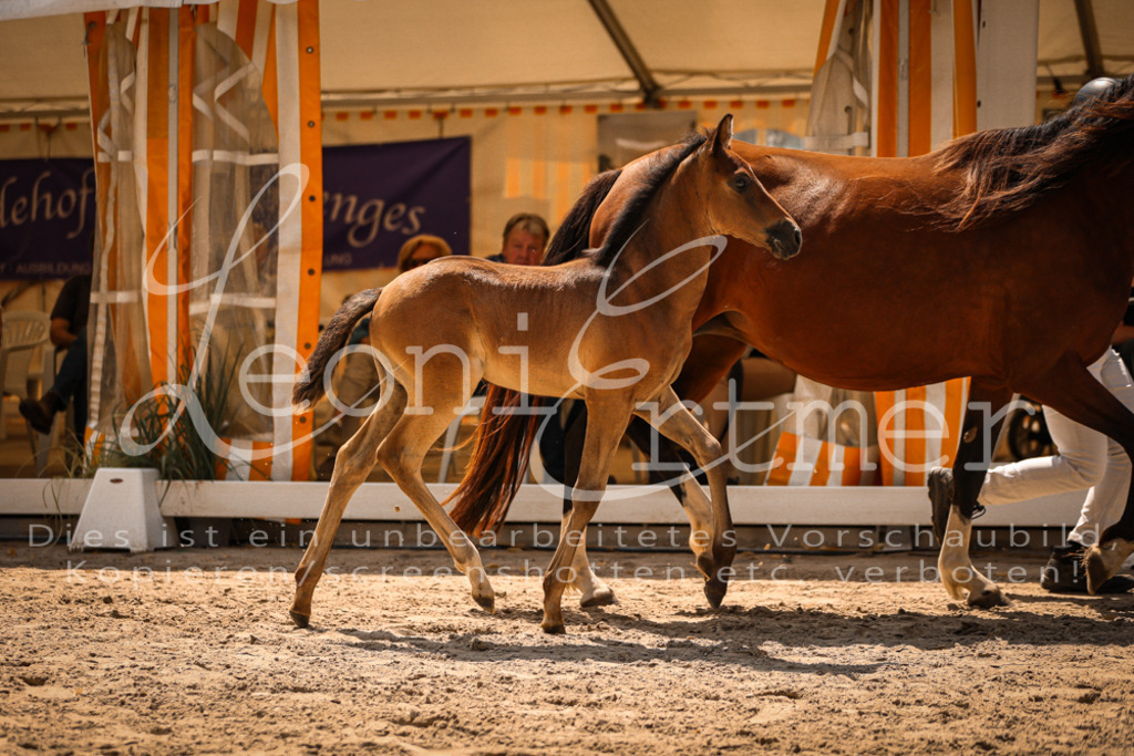 03.DoAB00017 | Leoni Ertmer Photography - Realisiert mit Pictrs.com