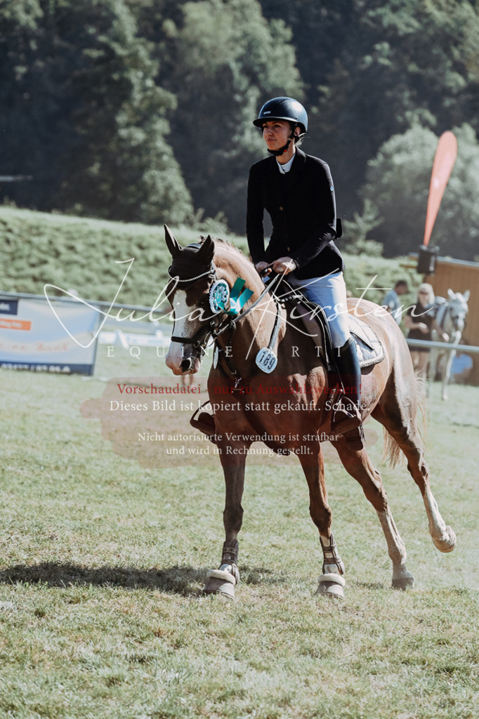 DSC_6245 | Pferde- und Turnierfotografie in Westsachsen. Pferdeportraits, Auftragszeichnungen und intuitive Kunst.