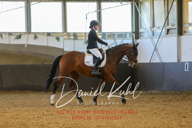 IMG_3290 | Turniersportfotografie; Pferdefotografie; Dressurfotografie