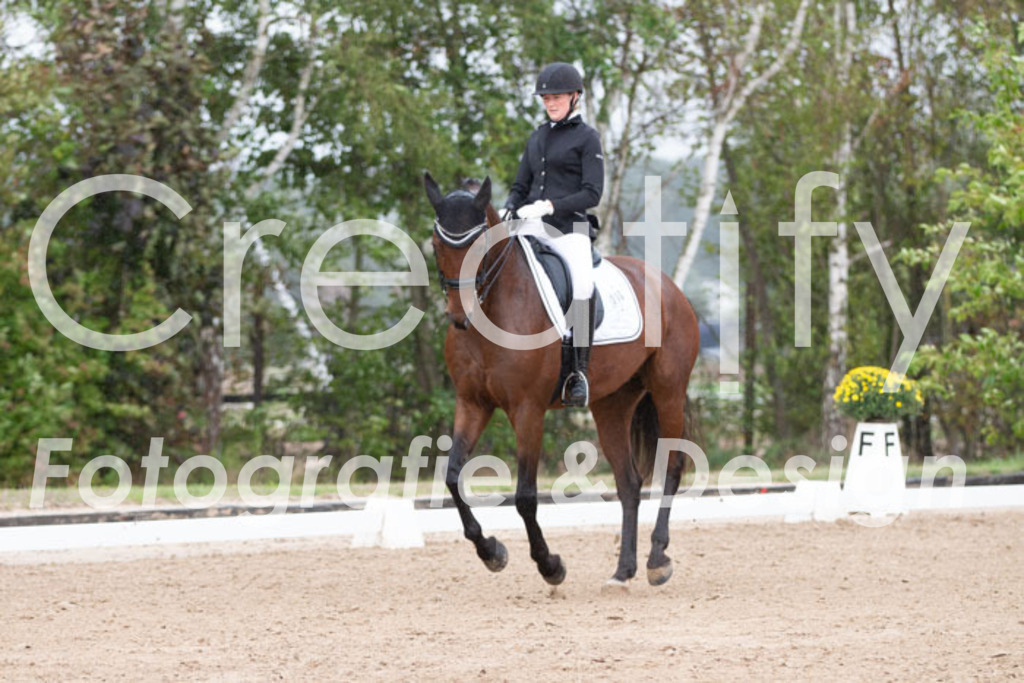 IMG_7185 | Creatify Fotografie