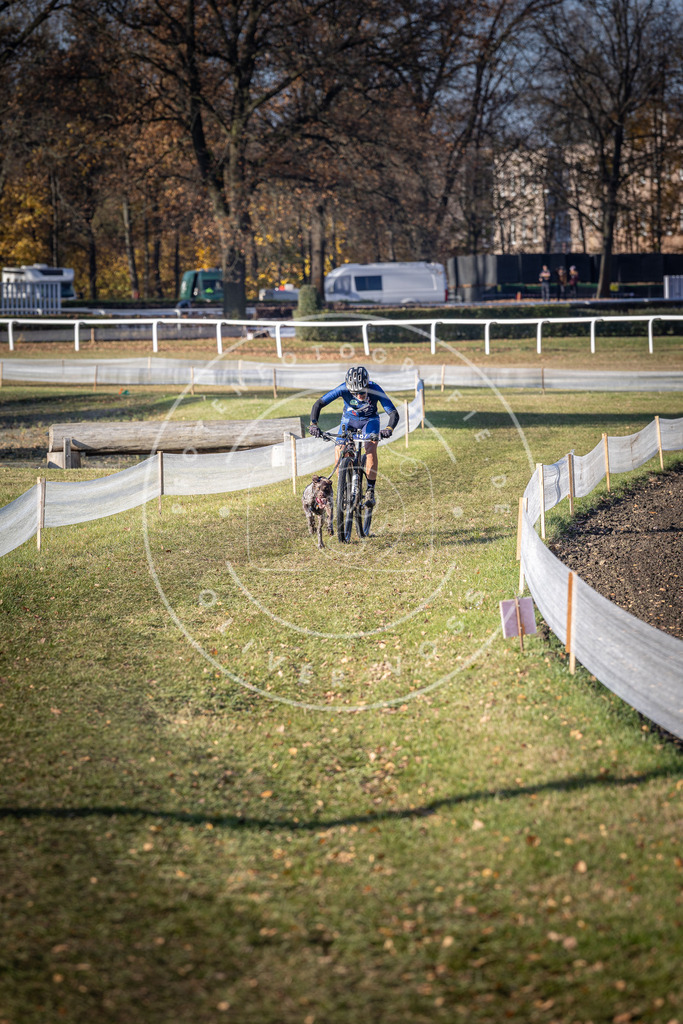 CaniXpix_DV3A2318 | Hundefotografie, Tierfotograf, Pfotenfotografie, Fotoshooting Hund, Hunde Portrait, Hundesport, Hundeportraits, Heideshooting, Hunde, Sportfotograf, Hundefotograf, Turnierhundsport, THS,  - Realisiert mit Pictrs.com