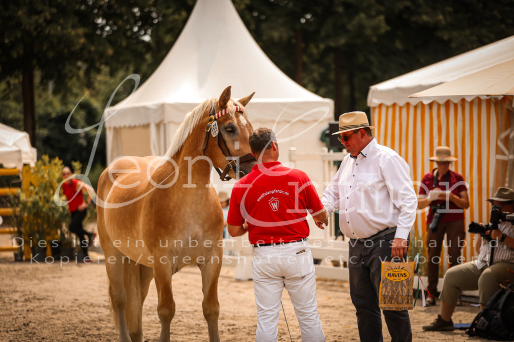 3.Sa00085 | Leoni Ertmer Photography - Realisiert mit Pictrs.com