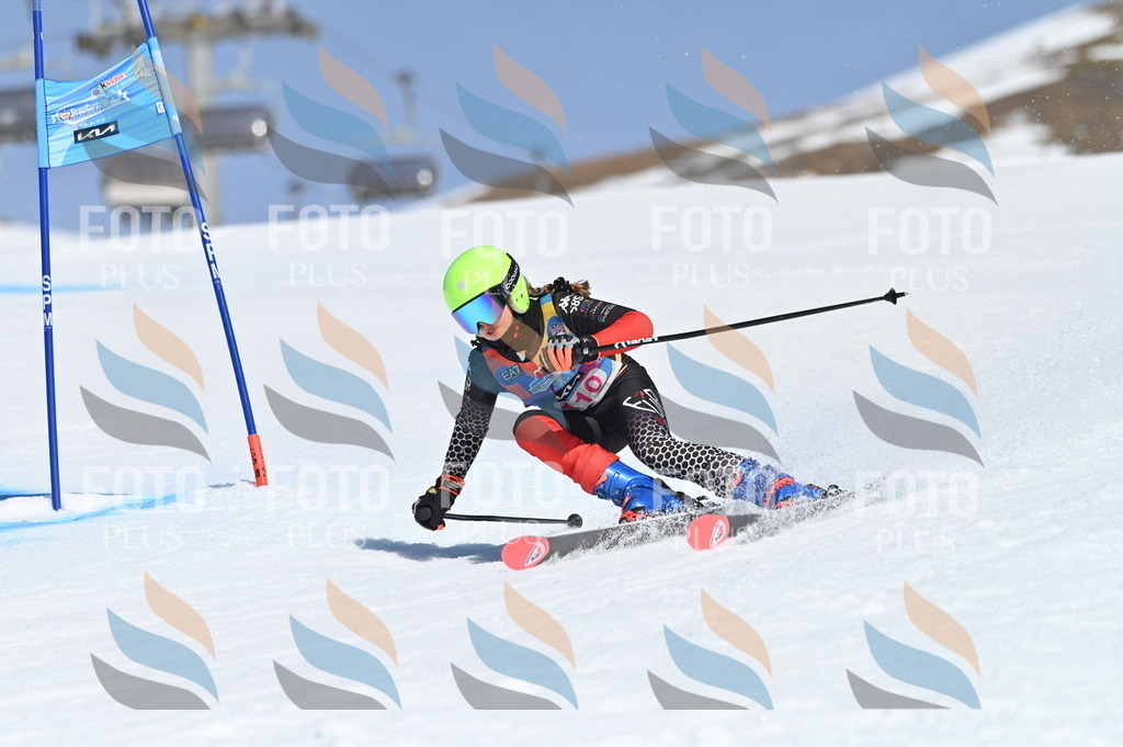 BGV_9646 | holidayphoto