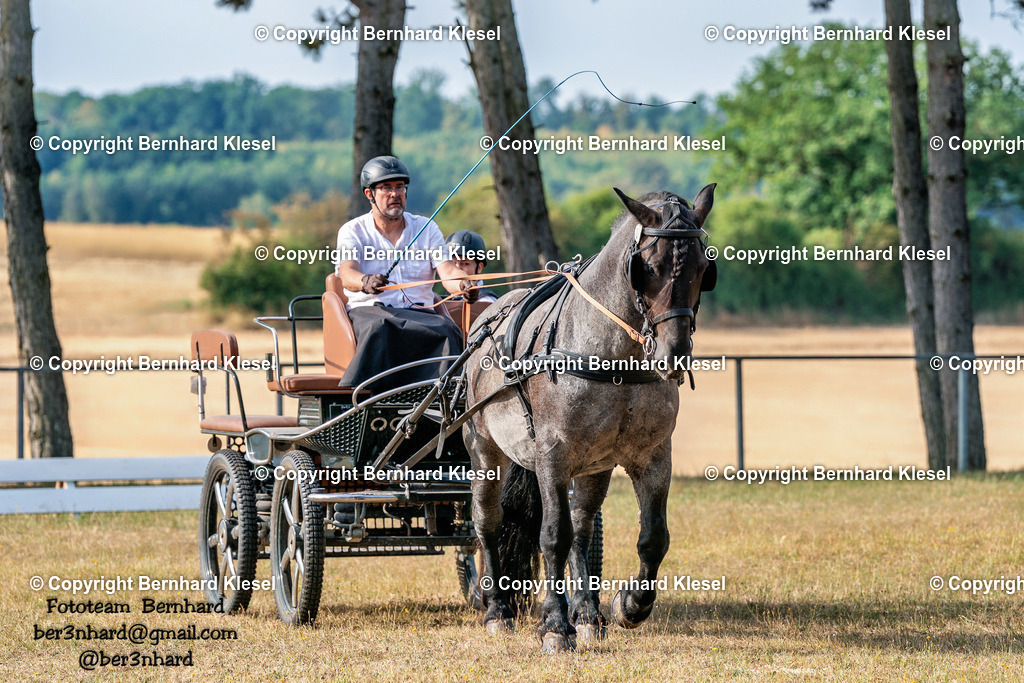 2A901800 | foto-team-bernhard - Realisiert mit Pictrs.com