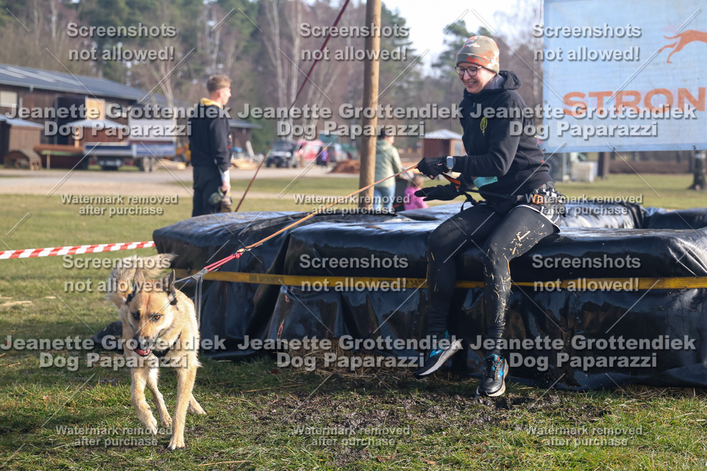 Dog Paparazzi - Strongdog North Mrz26-1039 | Dog Paparazzi Jeanette Grottendiek Fotografie & Videografie - Realisiert mit Pictrs.com