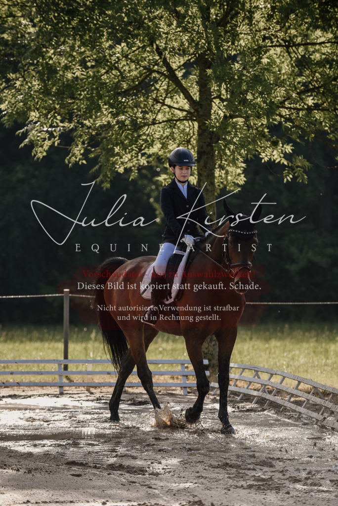 DSC_7939 | Pferde- und Turnierfotografie in Westsachsen. Pferdeportraits, Auftragszeichnungen und intuitive Kunst.